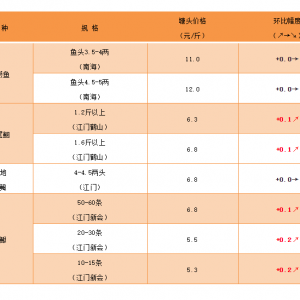 �r(ji��)��(w��n)����2020��10��9�������ǟo(w��)�[�~���^�r(ji��)�񲥈�(b��o)