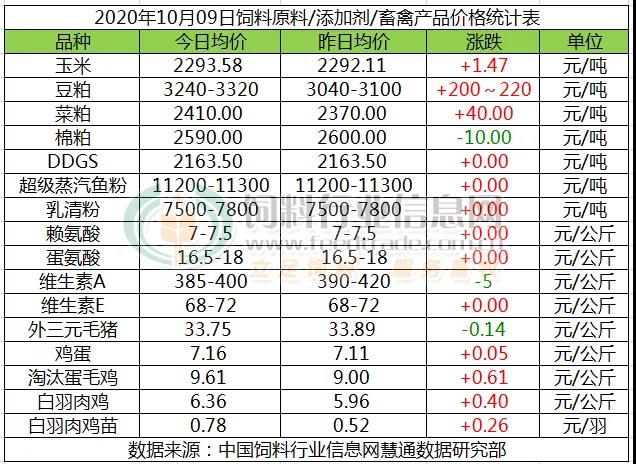 ���񣡶���һ�챩�q��220Ԫ/��