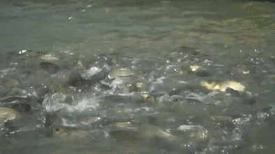 ��aֵ480�f���@�����B�~���������֙C�B�~������»���