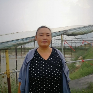 ���f�ְl���B�r����������˴֡��B�r�ɴ�څ��