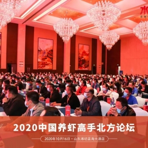 ��500�˅��ӣ������B�r�ٻ��R�ţ��Ă����Н�������