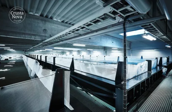 �������@����Ʒ�N���l�����I���r��?