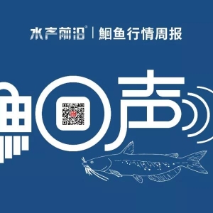 ˦�u����β�r(ji��)�����5.2Ԫ/�