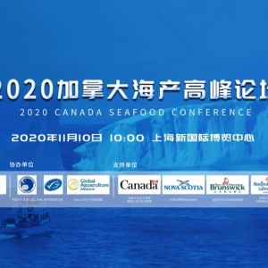 ��2020 ���ô󺣮a�߷�Փ��������������