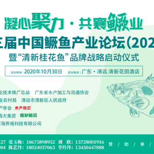 ȫ�a�I朮aֵ��700�|Ԫ���Z�~�a�I��ӭ�����¼���10��30̖��s�V�|���h��