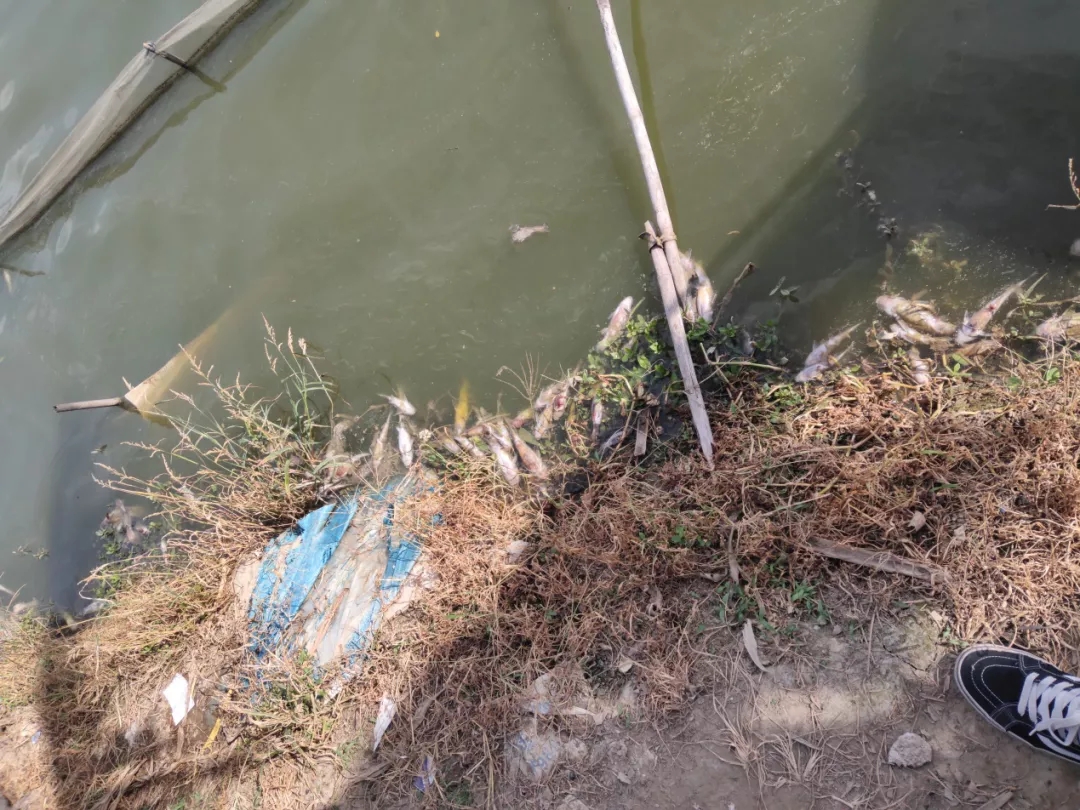 ���裡׷�L��Ͷι�^���ԉ��cθ���ˆ��}��׷��Ī����