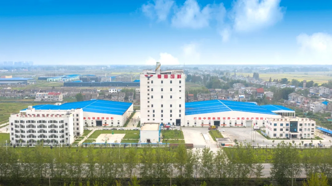 �������ٔU��D����һվ�������Ĵ���