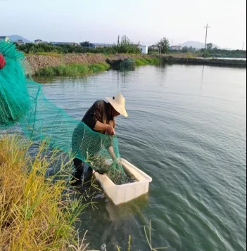 �B�r����Ҫ���A�Ρ������š������ֽ�����ζ��^