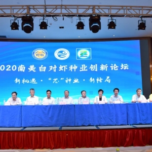 �r�I���д���������Ƽ����̌��r�N�I�lչ�y�}