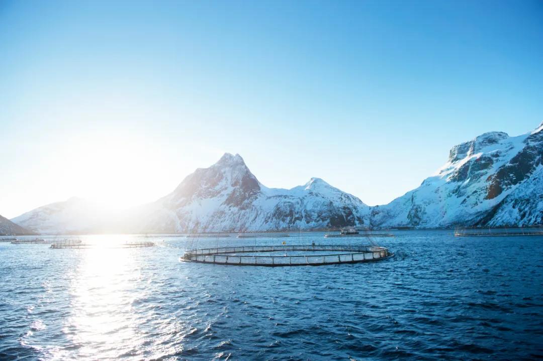 Ų�������~�Bֳ50���꣺�҂���Ŀ�����ǳ��󺣣�