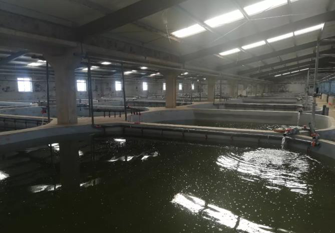 �����_�e˹�����r�Bֳ�M��5.0�r��