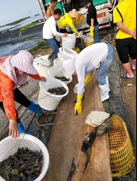 ����(ji��n)�Ρ��B(y��ng)�r��4��(g��)���_(d��)8�^/�