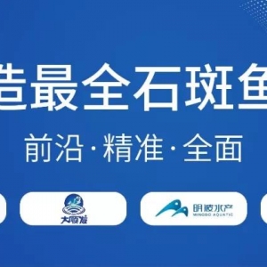 ʯ���~�r(ji��)���w�µ�