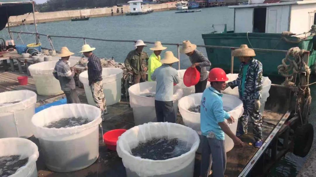 �B(y��ng)100�f(w��n)�l���K�~(y��)ٍ��170�f(w��n)Ԫ����