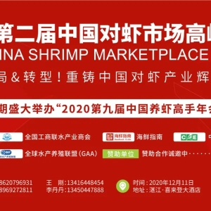 ��2020�ڶ����Ї����r�Ј��߷�Փ�����ٴ��𺽣�