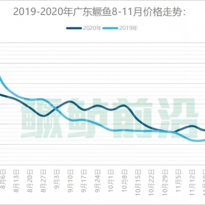 �D���~�r���λ�\�����Z�~�r���ϝq����|2020��11��26��