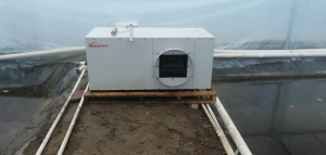 С���r�b�����{���Ӝأ��������Bֳ��������