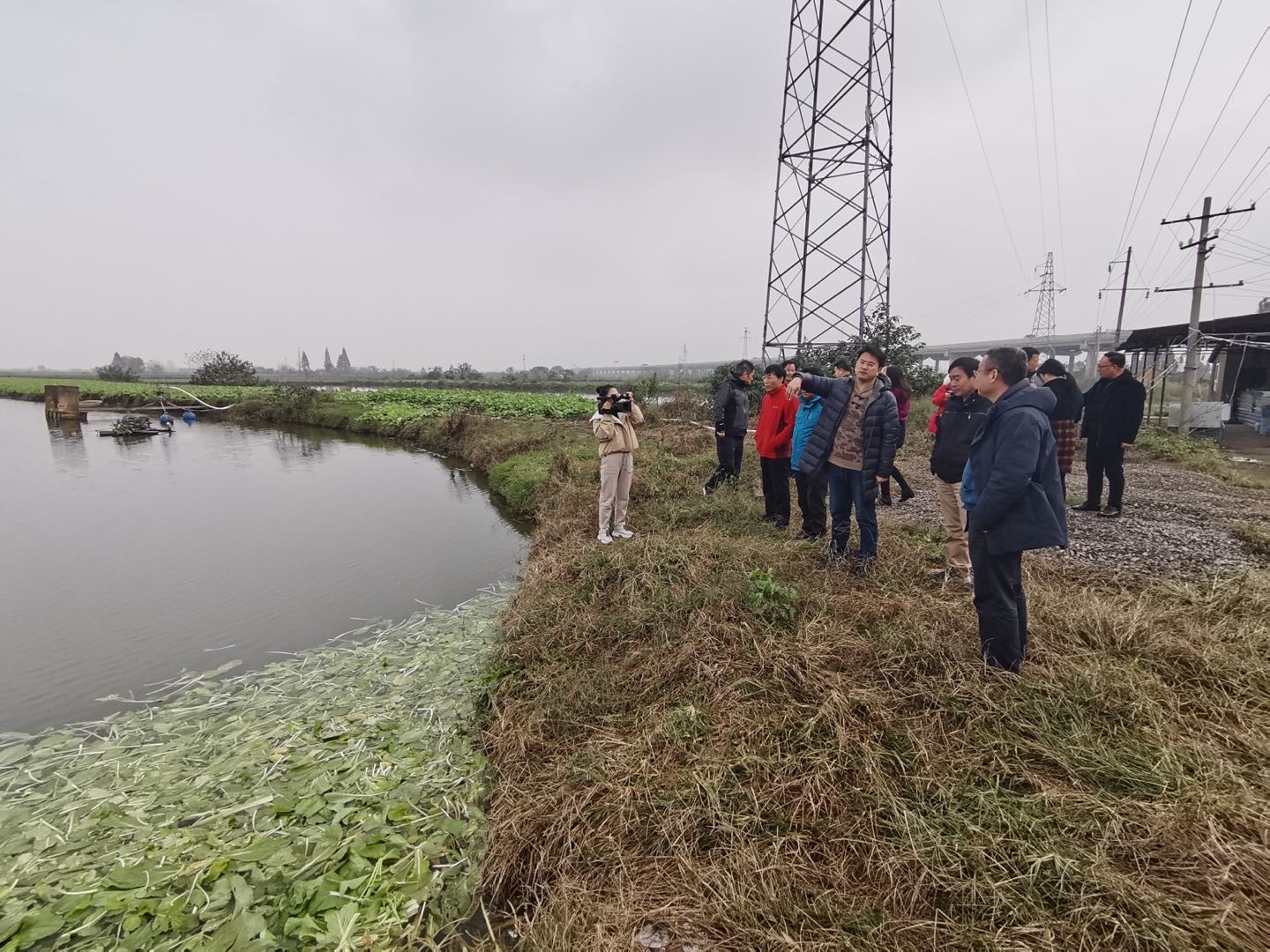 ��(gu��)�Ҵ��ڵ�ˮ�~(y��)�a(ch��n)�I(y��)���g(sh��)�wϵ�����N���B(y��ng)�~(y��)�Gɫ�B(y��ng)ֳģʽ����ʾ���c(di��n)���O(sh��)�(y��n)�Օ�(hu��)������_(k��i)