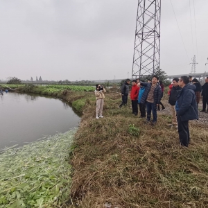 ��(gu��)�Ҵ��ڵ�ˮ�~�a(ch��n)�I(y��)���g(sh��)�wϵ�����N���B(y��ng)�~�Gɫ�B(y��ng)ֳģʽ����ʾ���c(di��n)���O(sh��)�(y��n)�Օ�(hu��)������_(k��i)