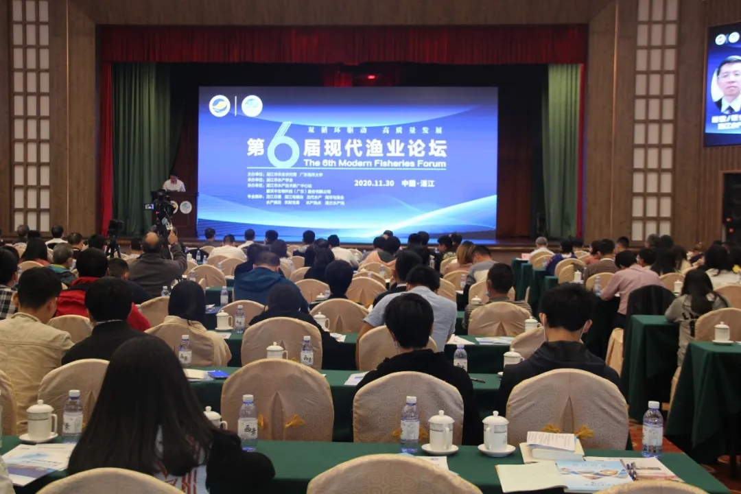 ���pѭ�h(hu��n)�(q��)��(d��ng)�����|(zh��)���l(f��)չ���������ìF(xi��n)���O�I(y��)Փ����տ���e��