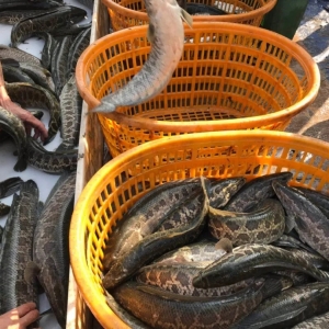 �V�|���~�r�µ���ʡ��S�����Bֳ��ϧ��