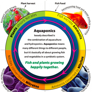 "�~�˹���"�ǳ�ꖮa�I��߀��δ���Ƽ���