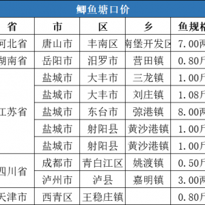 2020��12��13���a�~���ڃr��һ�ܲ���