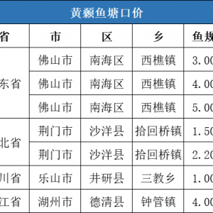 2020��12��13���S��~���ڃr��һ�ܲ���