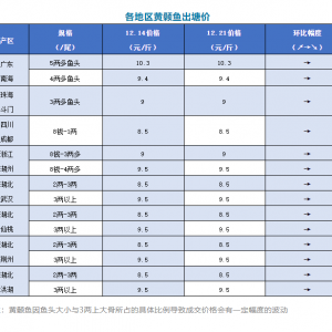 ���ַ�(w��n)����2020��12��21�ո����S��~(y��)�������^��(b��o)�r(ji��)