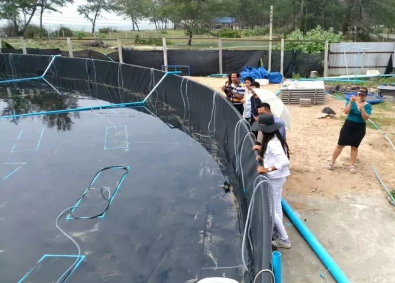 һ�Ľ��xС�͈A�η������B(y��ng)�r����Ҫ�c(di��n)