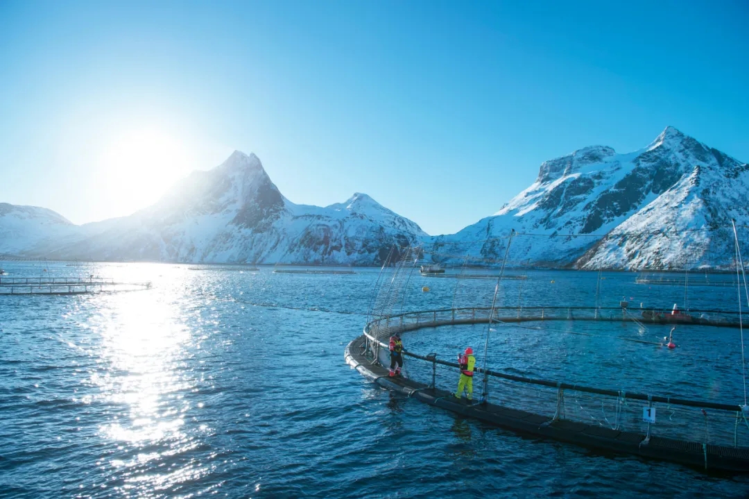 Ų�������~ȫ�a(ch��n)�I(y��)朹�ͬ���������~ʳ�ð�ȫ���o(h��)�Ǻӡ���