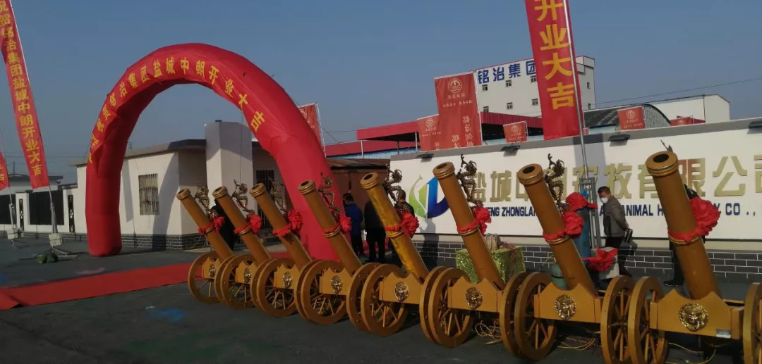 ��һƥ��ϴ���R���ܳ��F(xi��n)��(j��)�ġ�����ٶȡ���