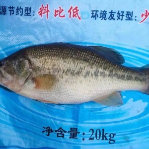 ������{0.5Ԫ/��V�|�㽭�ԝq�����ꎧ���|�~�r�񣬽��K����e�O��؛ | �ܴ�����ؼs ...