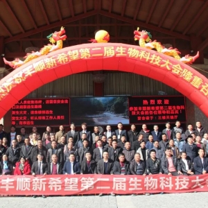 �S���ϣ������N��ͬ�����L60%��