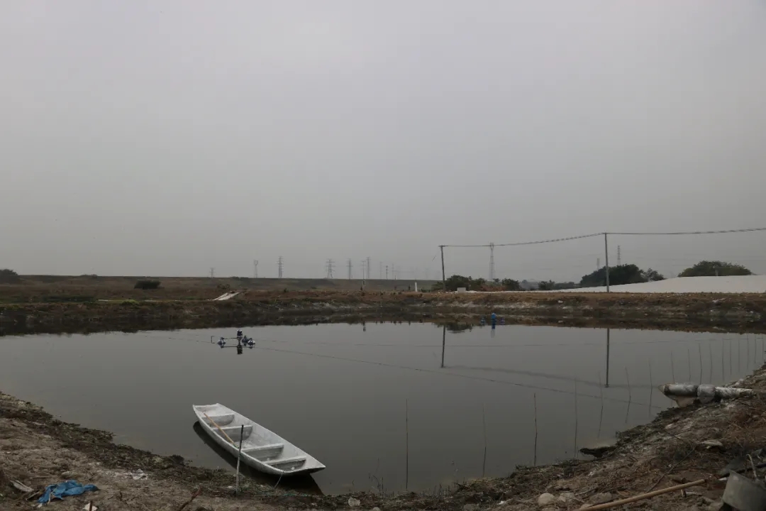 ������Ű�ɏV��һ�󲨸߃r(ji��)�~����������