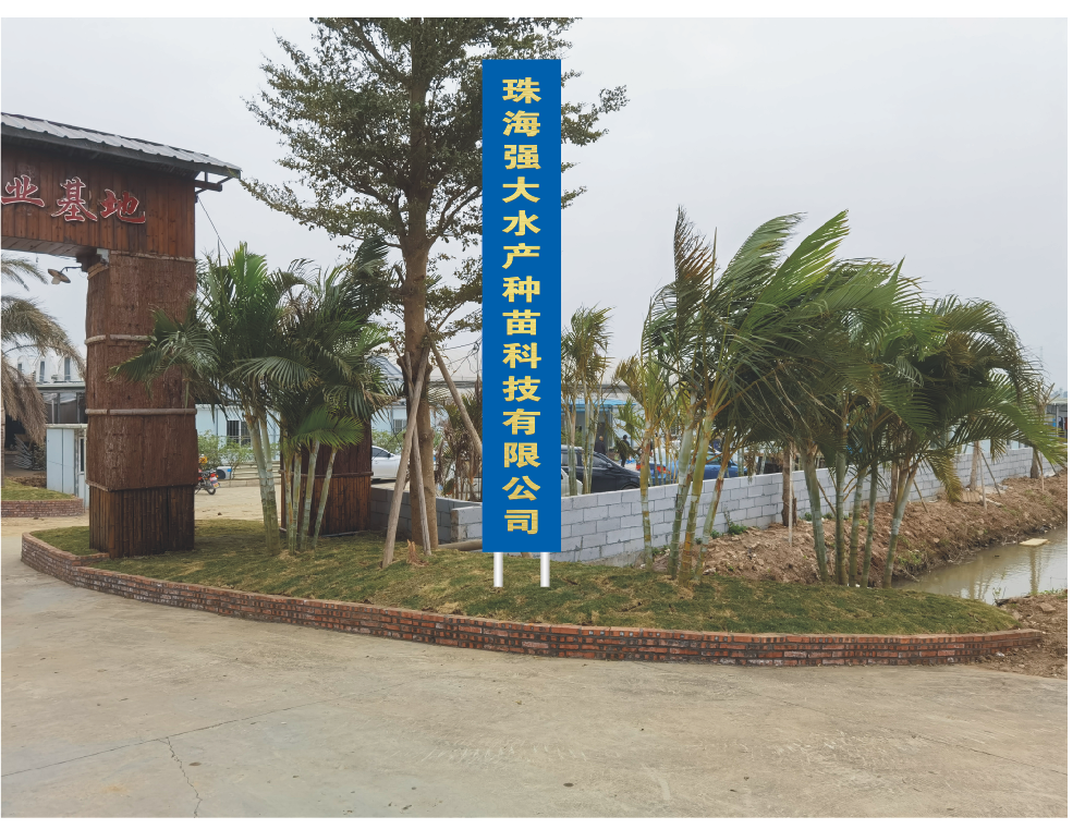 2021�꣬�����_(d��)�r��y�Ĵ�NԴ����������