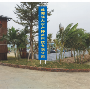 2021�꣬�����_(d��)�r��y�Ĵ�NԴ����������