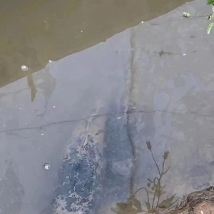 �������ס�~(y��)�r(ji��)�ϝq0.3Ԫ/����~(y��)���~(y��)ˬ�У�