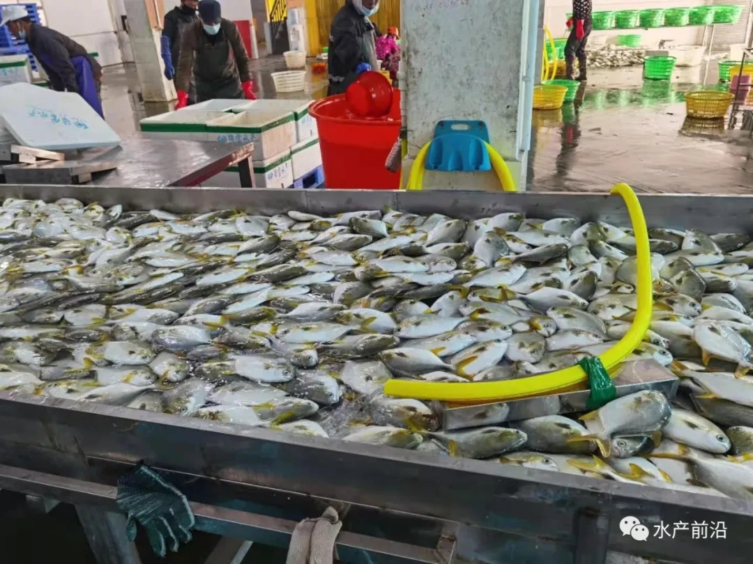 �����¶���~��ʧ�أ��B(y��ng)������Ԯ�ֶ��y�P(gu��n)��