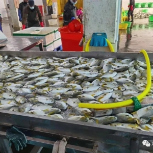 �����¶���~��ʧ�أ��B������Ԯ�ֶ��y�P��