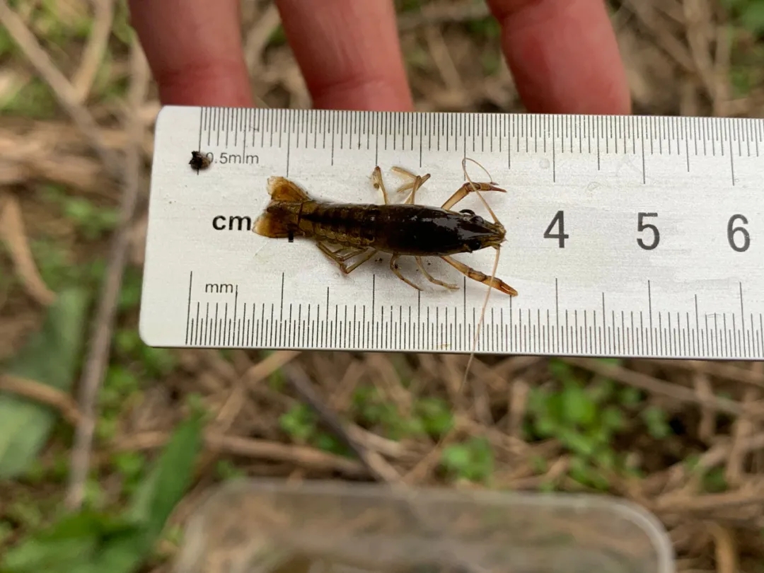 �P(gu��n)��С���r�B(y��ng)ֳ�㑪(y��ng)ԓ֪����