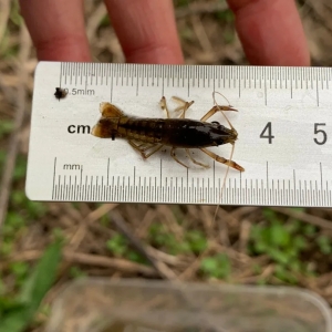 �P(gu��n)��С���r�B(y��ng)ֳ�㑪(y��ng)ԓ֪����