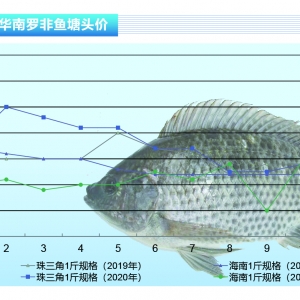 �_���~���Ј������~�����S���q�r������ˮ�aǰ�ء�2021��1�¿��Ј�څ��