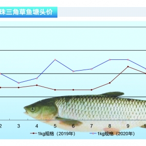 ���~(y��)�����龏��������Ȼ�����L(f��ng)�U(xi��n)���ӡ�����ˮ�a(ch��n)ǰ�ء�2020��10�¿��Ј�(ch��ng)څ��(sh��)