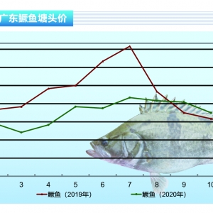 �Z�~���D���~��λ�\������(ji��)������ȫ������������ˮ�a(ch��n)ǰ�ء�2020��11�¿��Ј�څ��