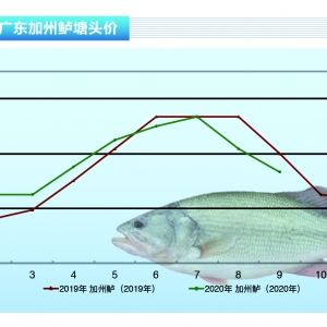 �����|���v��(j��ng)���ɂ�(g��)�»�����9�µ���(sh��)�ž�������ˮ�a(ch��n)ǰ�ء�2020��10�¿��Ј�(ch��ng)څ��(sh��)