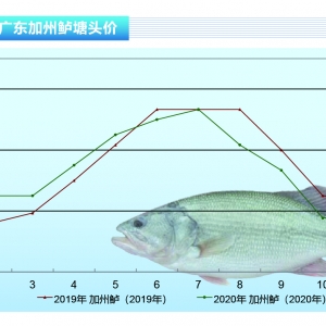 �����|���V�|���~�����ӣ����܇ƫ�۴��~������ˮ�aǰ�ء�2021��1�¿��Ј�څ��