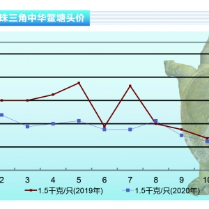 ���~��ʮ�¼��~ͣʳ���Bֳ���������ۡ�����ˮ�aǰ�ء�2020��11�¿��Ј�څ��