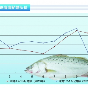 ���|���f�~�������㣬���|�r��ȫ���ϝq������ˮ�aǰ�ء�2020��10�¿��Ј�څ��