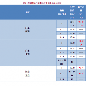 2021���_�T�t�����K�~��q�r(ji��)�ˣ�